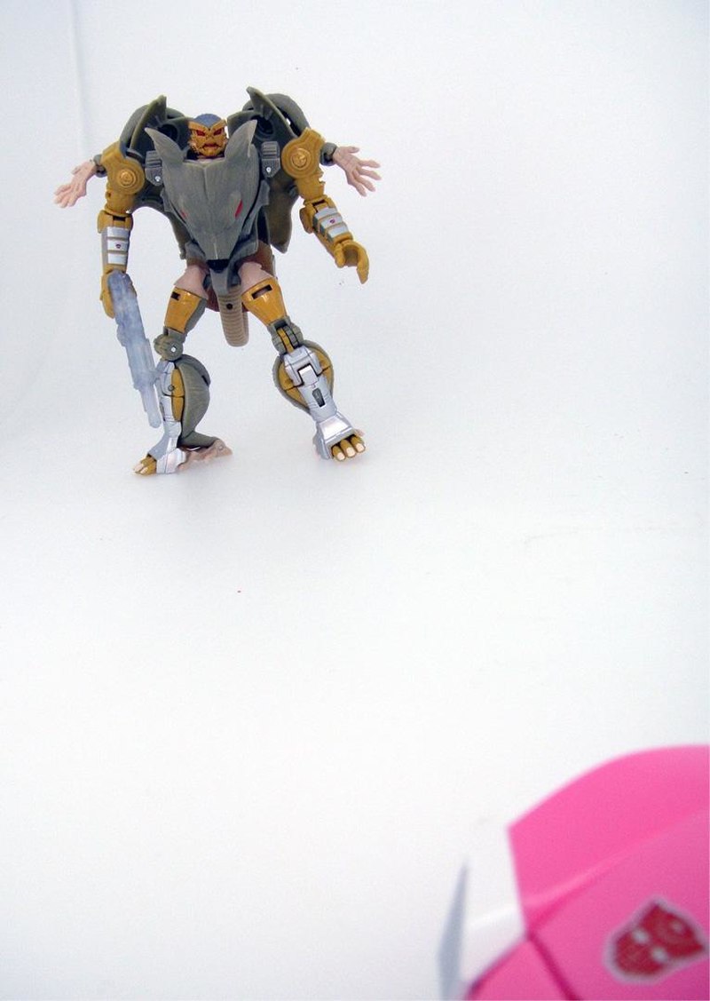 transformers legends figures